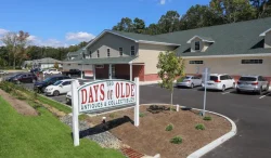 Exterior view of 150 Days of Olde Antiques & Collectibles shop with parked cars and a visible sign in front.